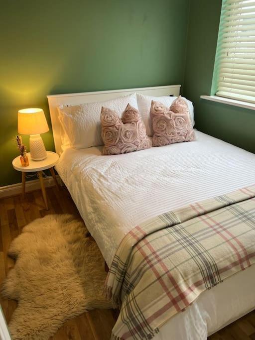 Cosy 2 Double Bed Apartment Swords Buitenkant foto